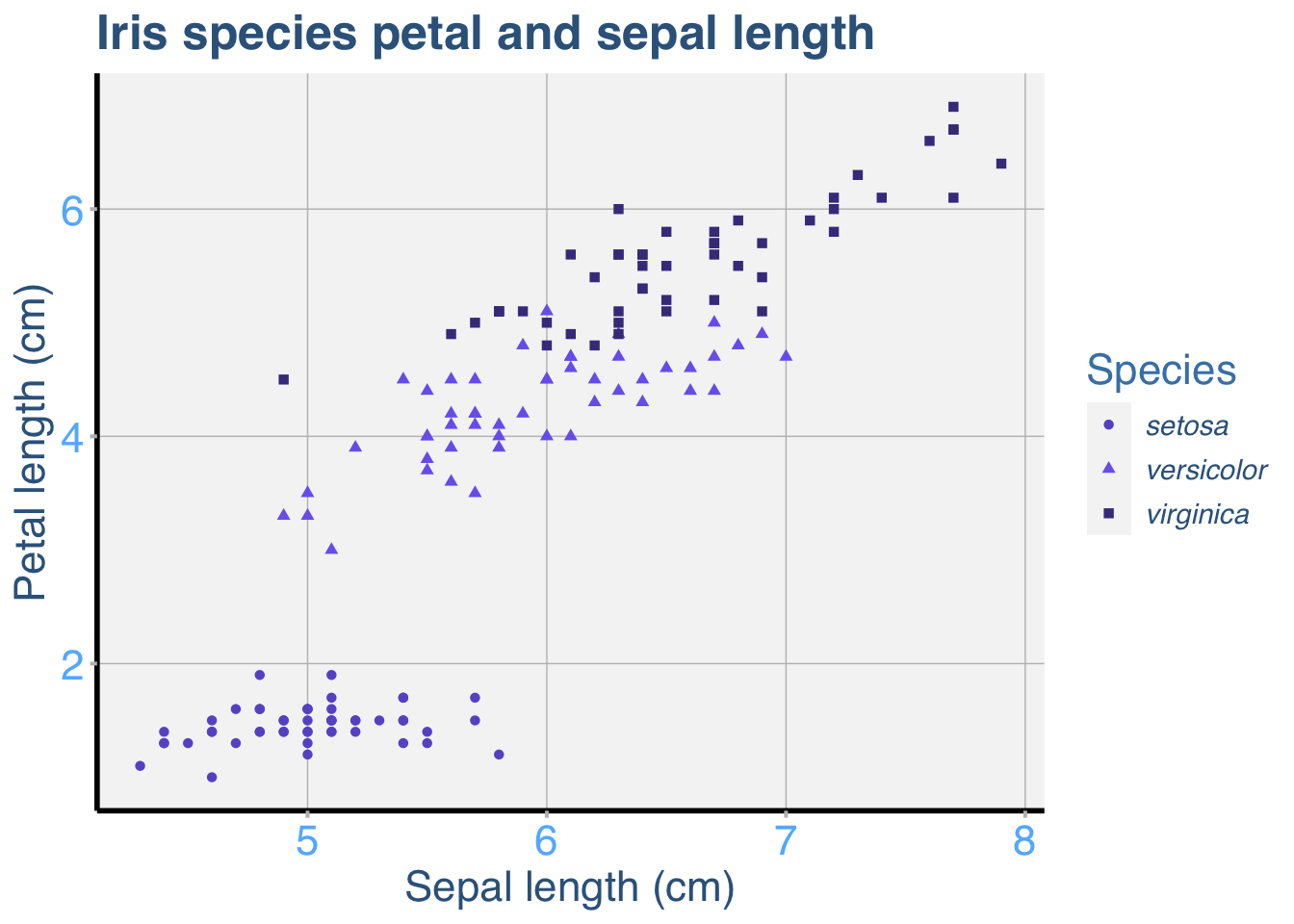 Fully customised iris scatterplot titled 'Iris species petal and sepal length', with species shown as slate-blue circles, triangles and squares on a pale grey background with blue axis text