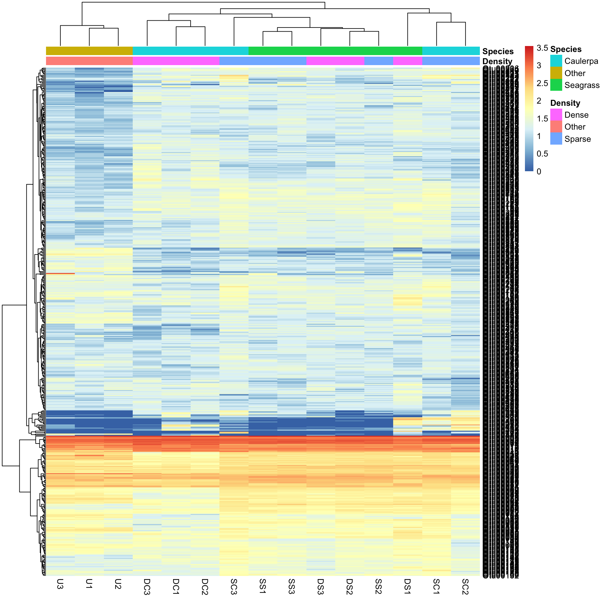 The clustered log-transformed heatmap with coloured bars above the columns showing each sample's species (Caulerpa, seagrass or other) and density (dense, sparse or other)