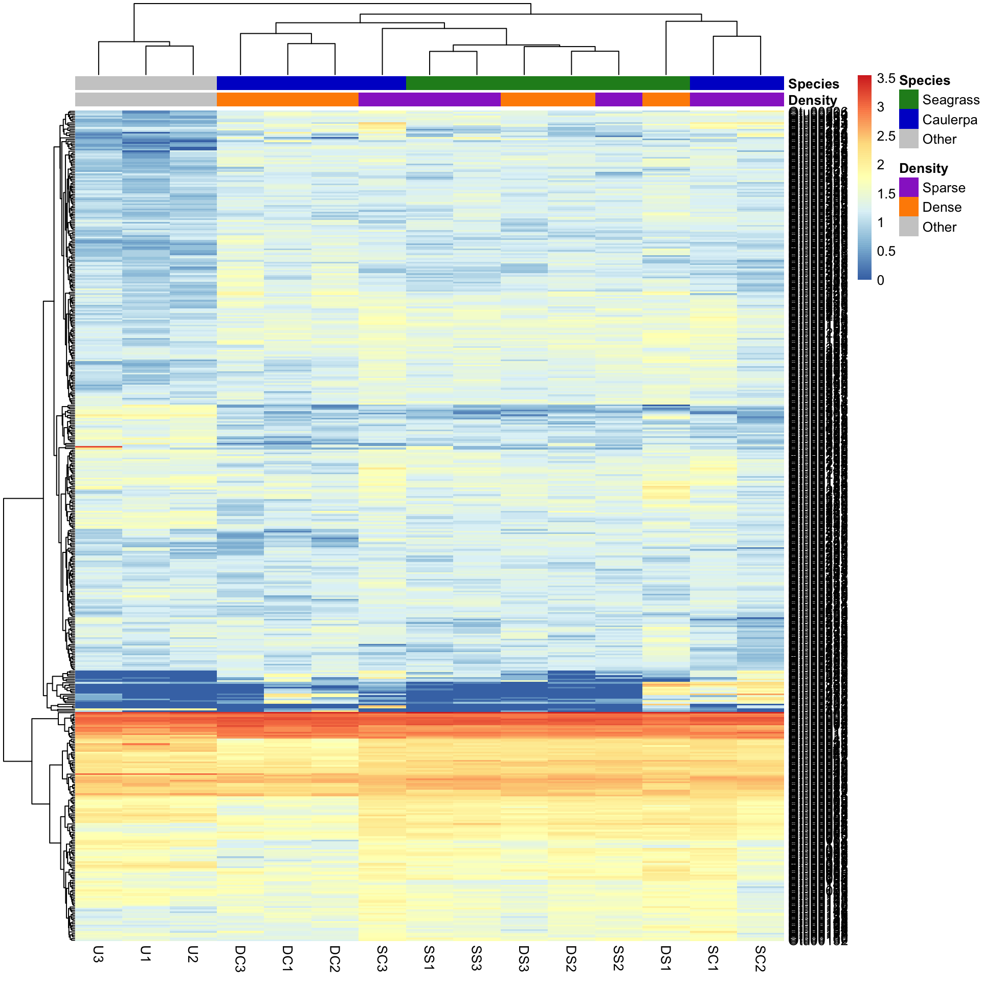 The same annotated heatmap with custom annotation colours: green for seagrass, blue for Caulerpa and grey for other, with orange and purple for dense and sparse