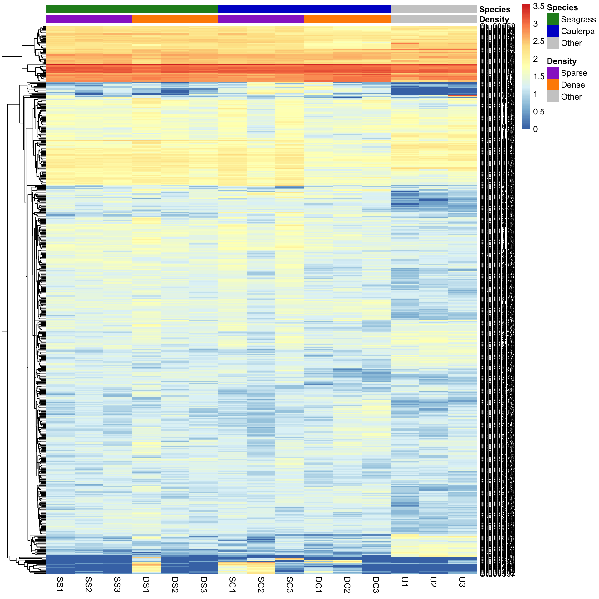 The heatmap with the sample columns ordered by species and density instead of clustered, so the annotation bars form neat blocks