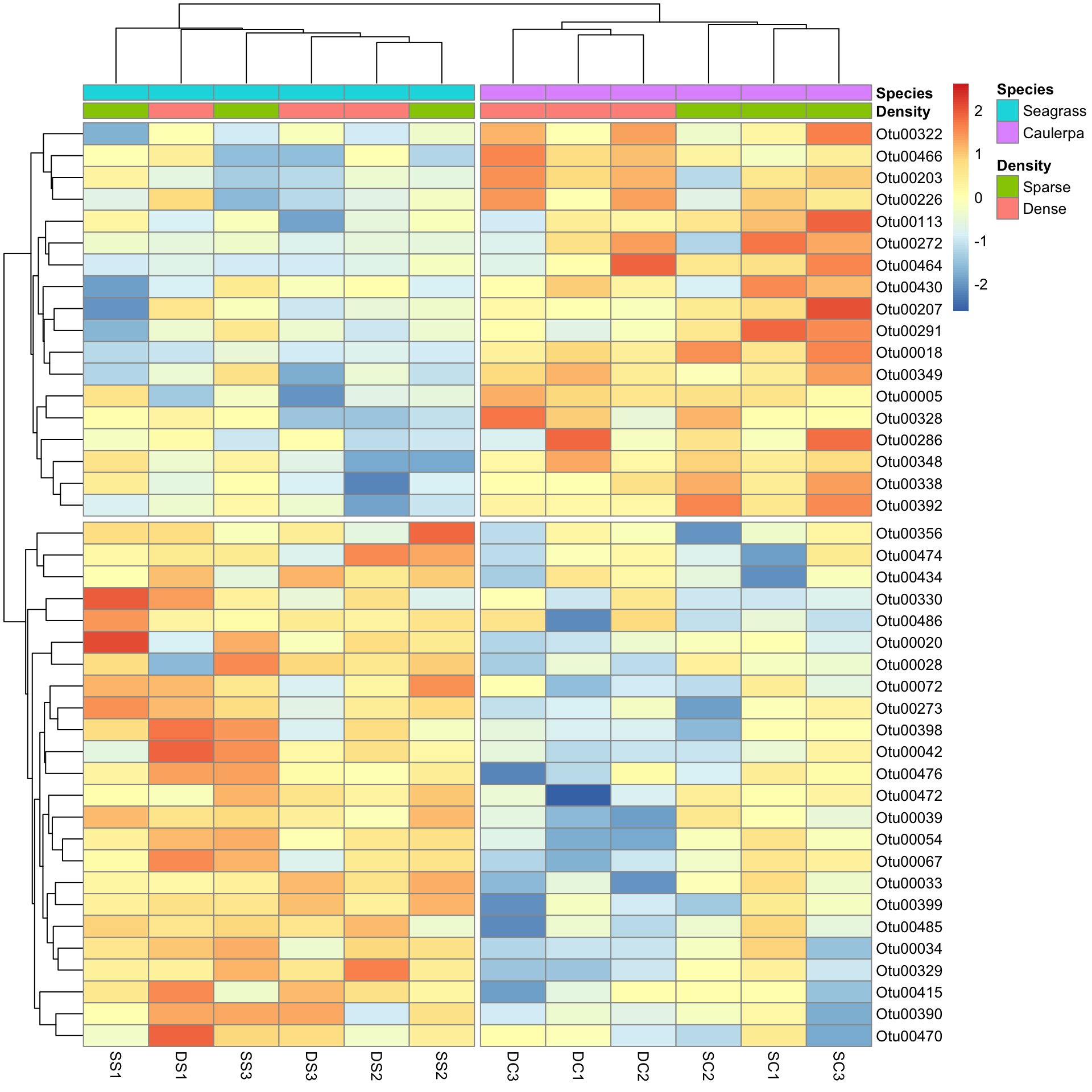 Heatmap of the taxa that differ between seagrass and Caulerpa, with rows scaled and both rows and columns split into two clusters: the seagrass samples and the Caulerpa samples separate cleanly, each with a block of taxa that are more abundant in it