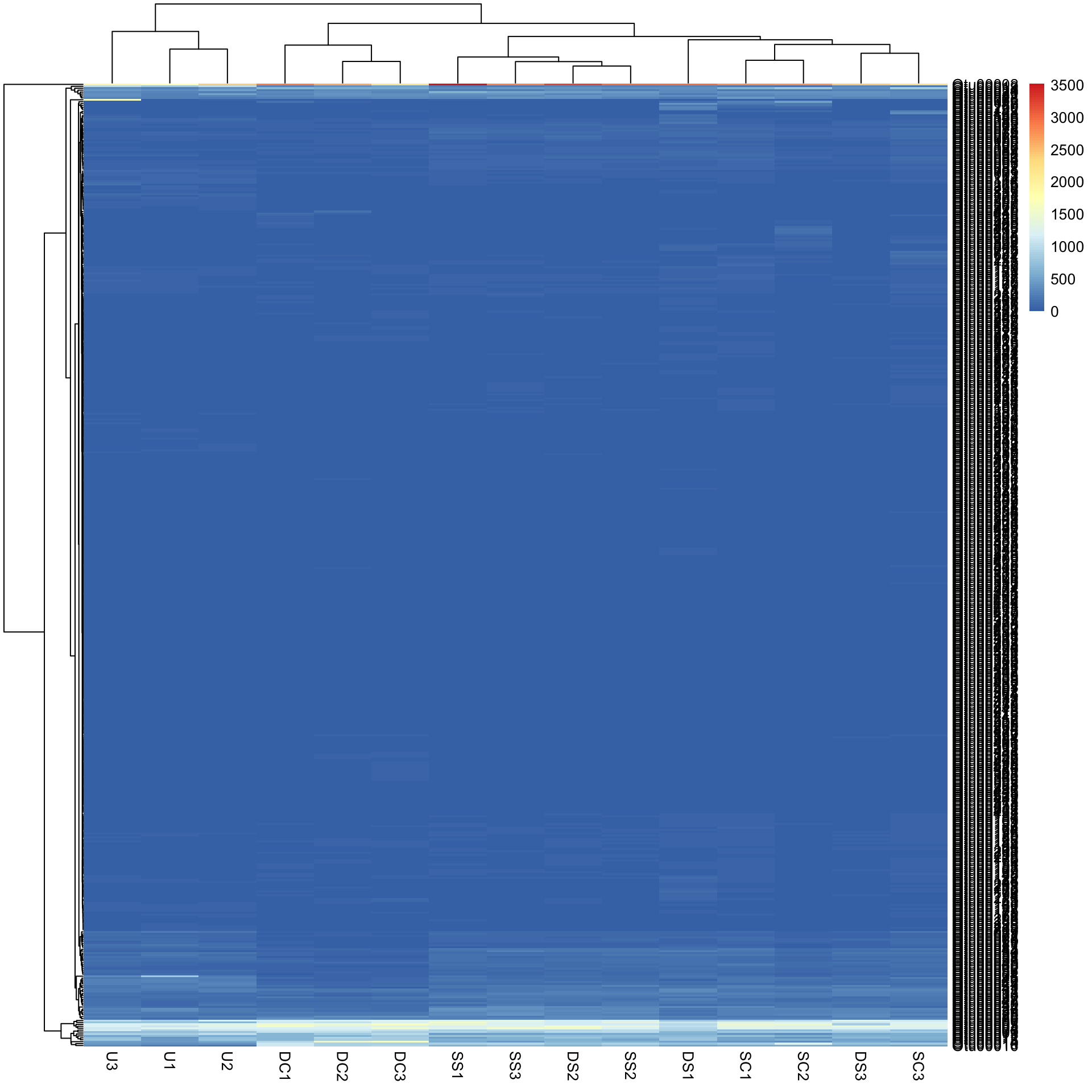 Heatmap of raw counts for 500 bacterial taxa (rows) across 15 samples (columns), clustered by both: almost every cell is the same dark blue, because a few very large counts dominate the colour scale