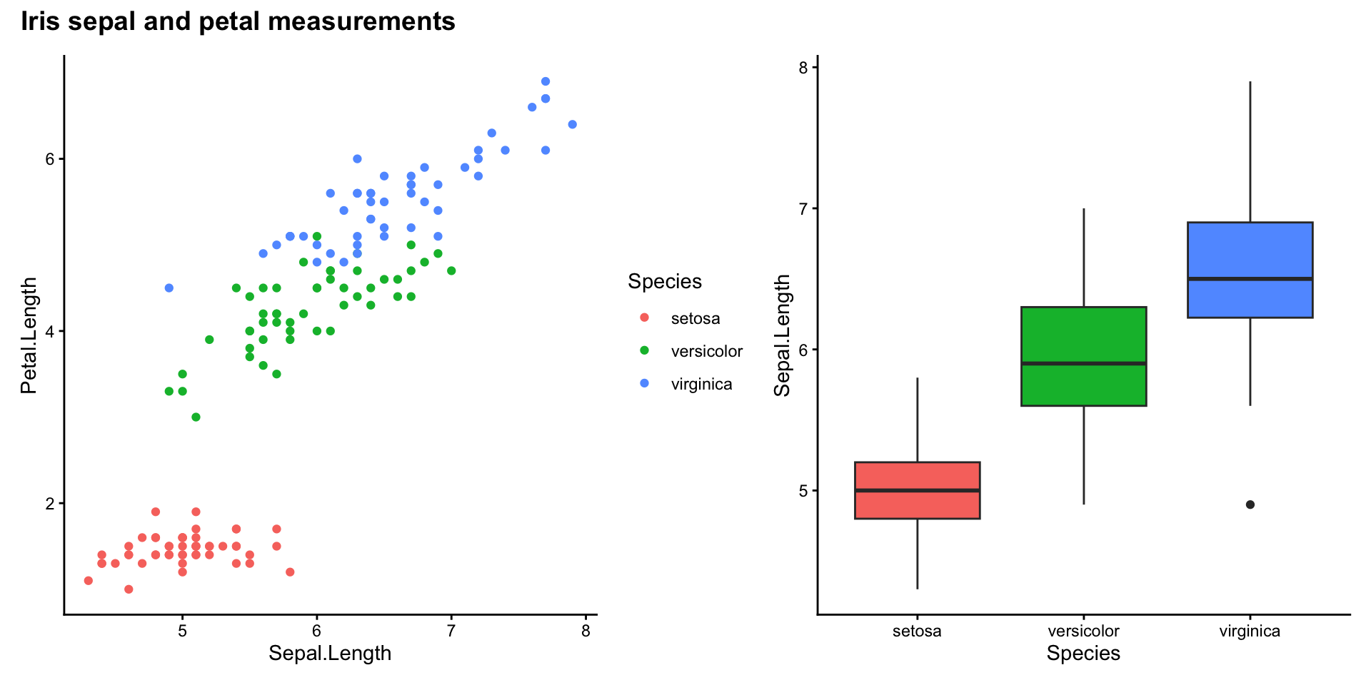 The iris scatterplot and boxplots side by side under the bold title 'Iris sepal and petal measurements'