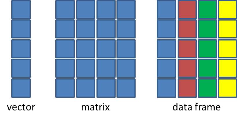 Diagram comparing a vector (a single column of cells), a matrix (a grid of cells all the same colour) and a data frame (a grid whose columns are different colours, so each column can hold a different type of data)