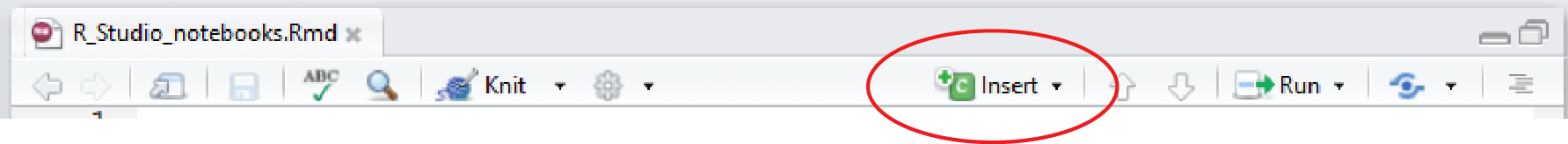 The RStudio notebook toolbar with the Insert button circled