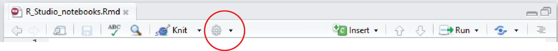 The RStudio notebook toolbar with the settings (gear) button circled