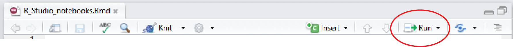 The RStudio notebook toolbar with the Run button circled