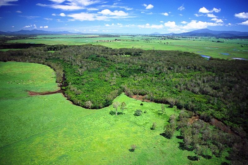 Aerial photo of a coastal floodplain, with green pasture surrounding a patch of wetland forest